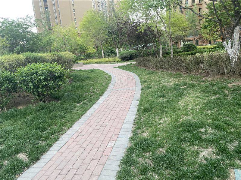 荣盛紫提东郡二期园区图片