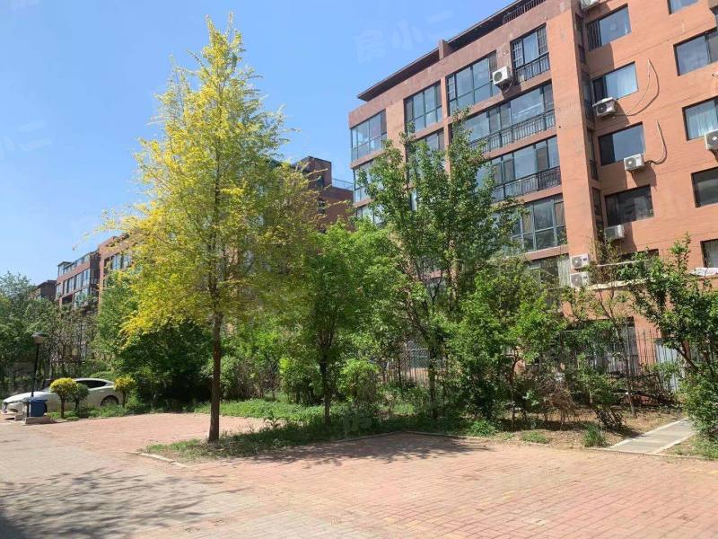 雷明雅阁园区图片