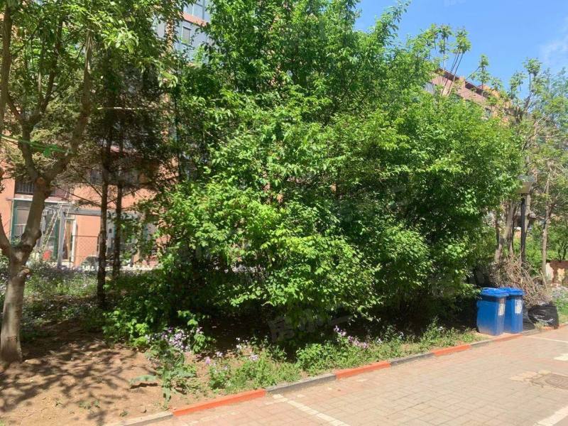 雷明雅阁园区图片