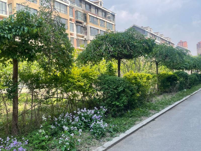 香醇波尔多鸿苑园区图片