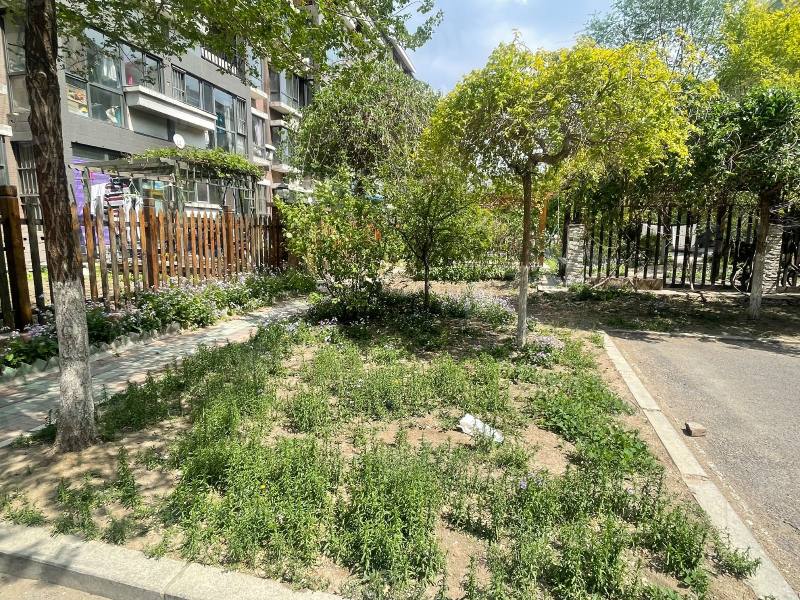 香醇波尔多鸿苑园区图片