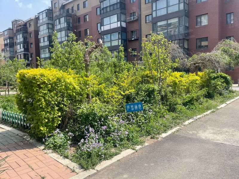 香醇波尔多鸿苑园区图片