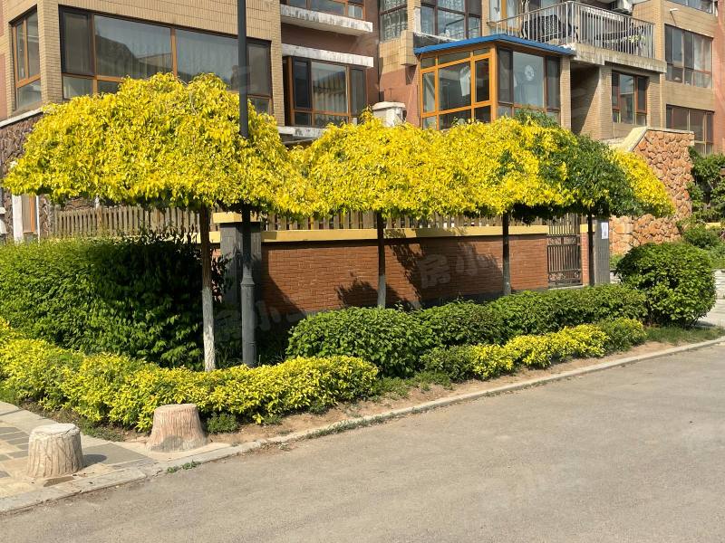 香醇波尔多鸿苑园区图片