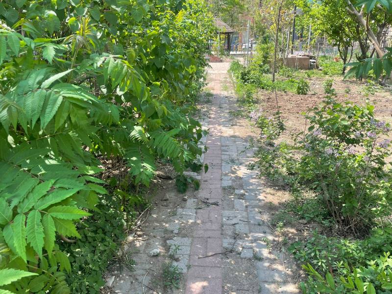 香醇波尔多鸿苑园区图片