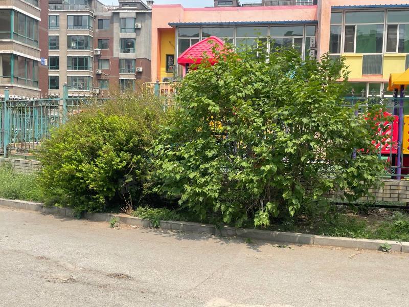 正大香格城园区图片