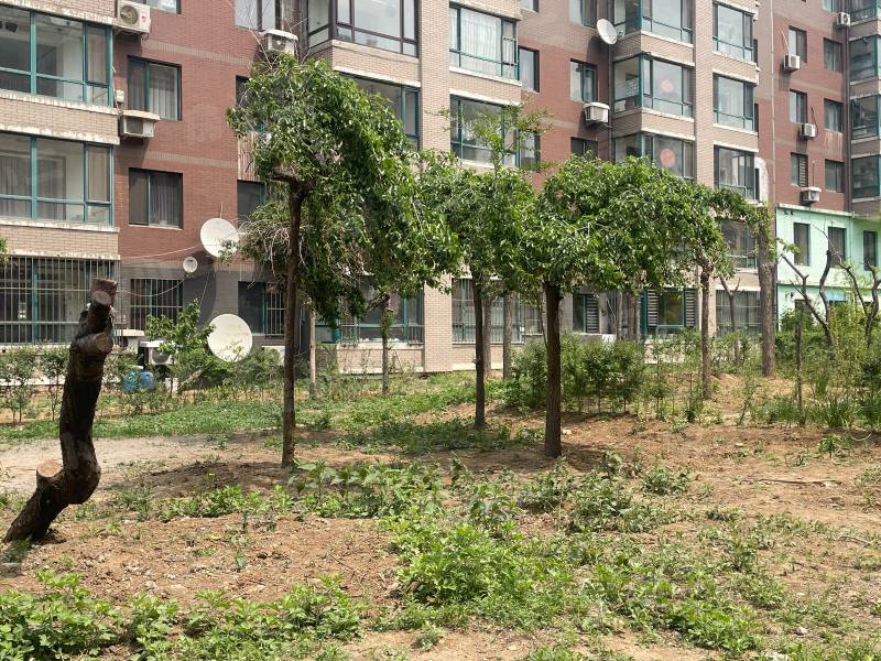 正大香格城园区图片