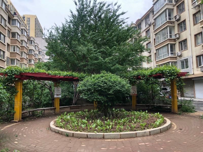 云峰嘉园园区图片