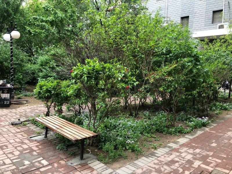 云峰嘉园园区图片