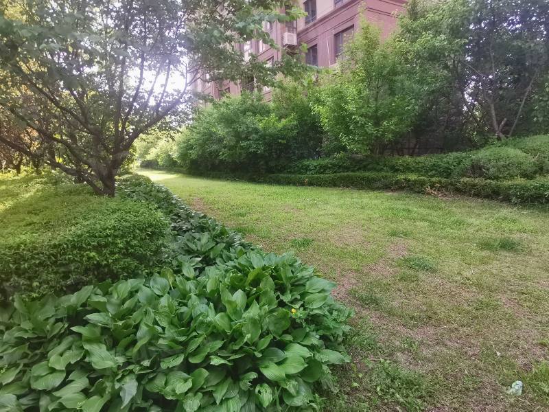 中海城瑞士郡园区图片