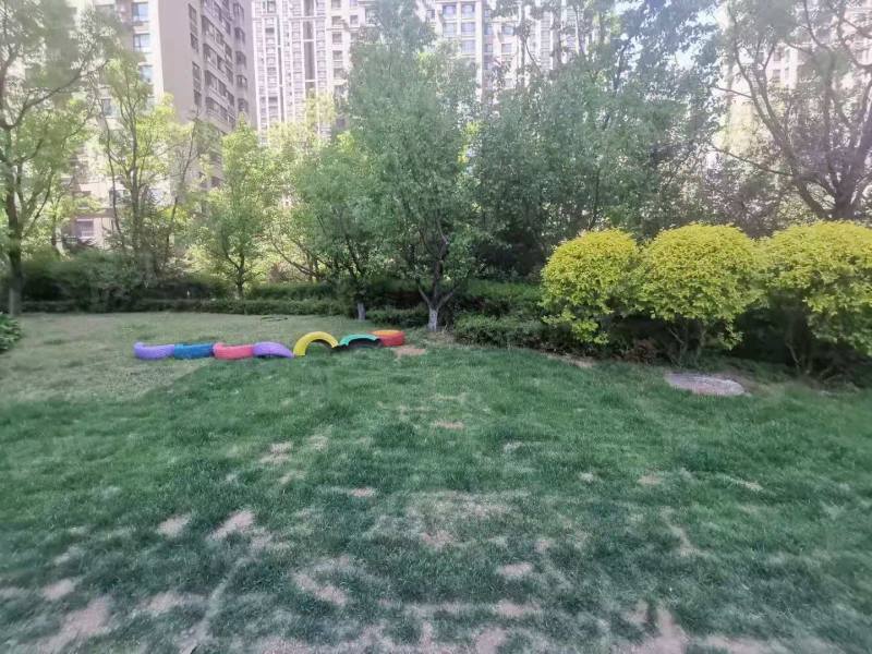 中海城瑞士郡园区图片