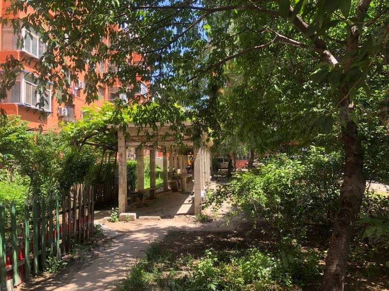 新新小区园区图片