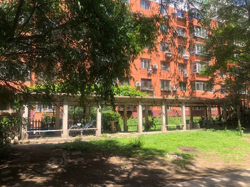 新新小区园区图片