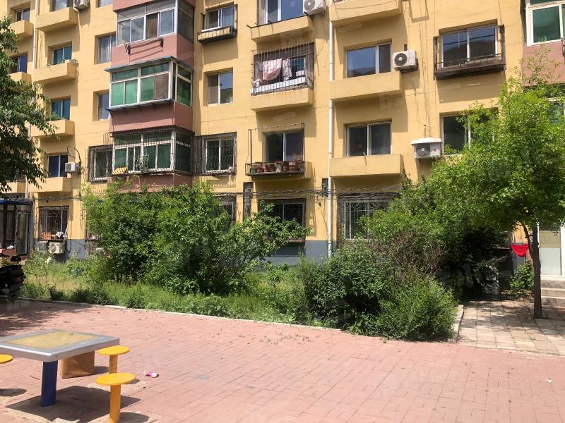 新新小区园区图片