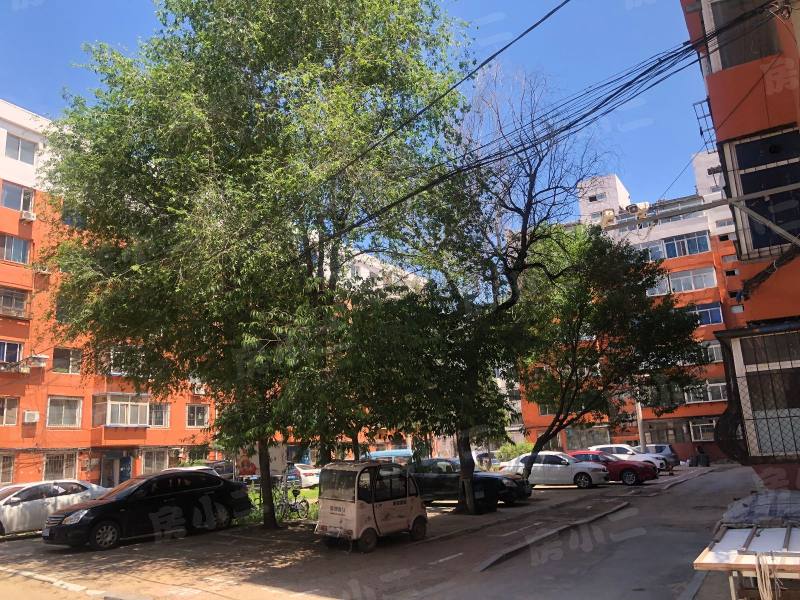 新新小区园区图片