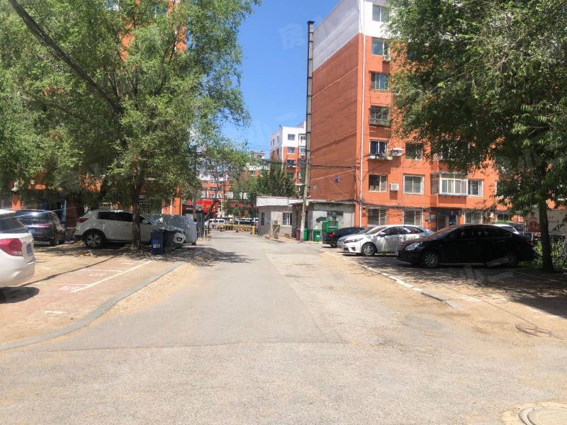 新新小区园区图片