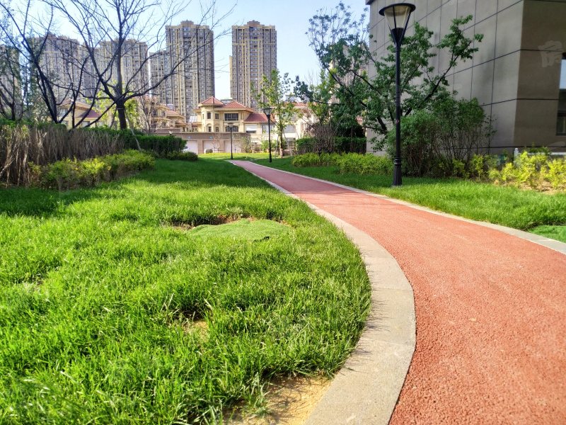 碧桂园太阳城园区图片