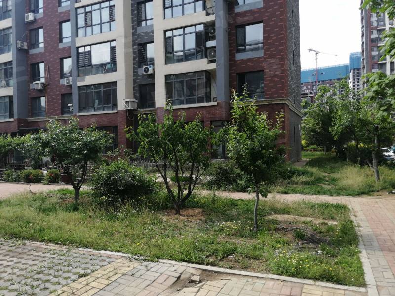 明华香峪兰溪2期园区图片