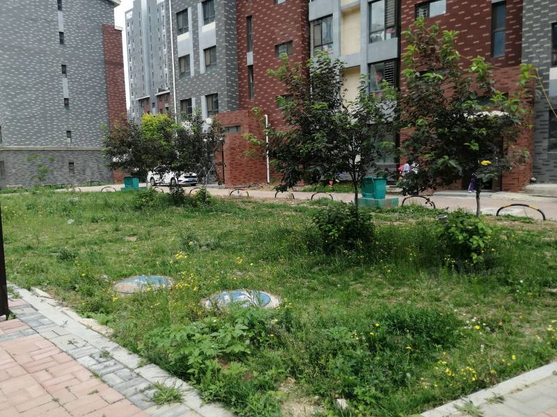 明华香峪兰溪2期园区图片