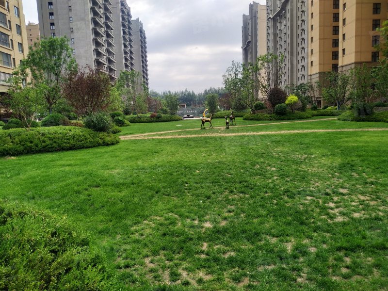 雨润中央宫园园区图片