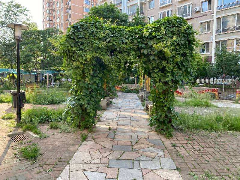 塞纳家园园区图片