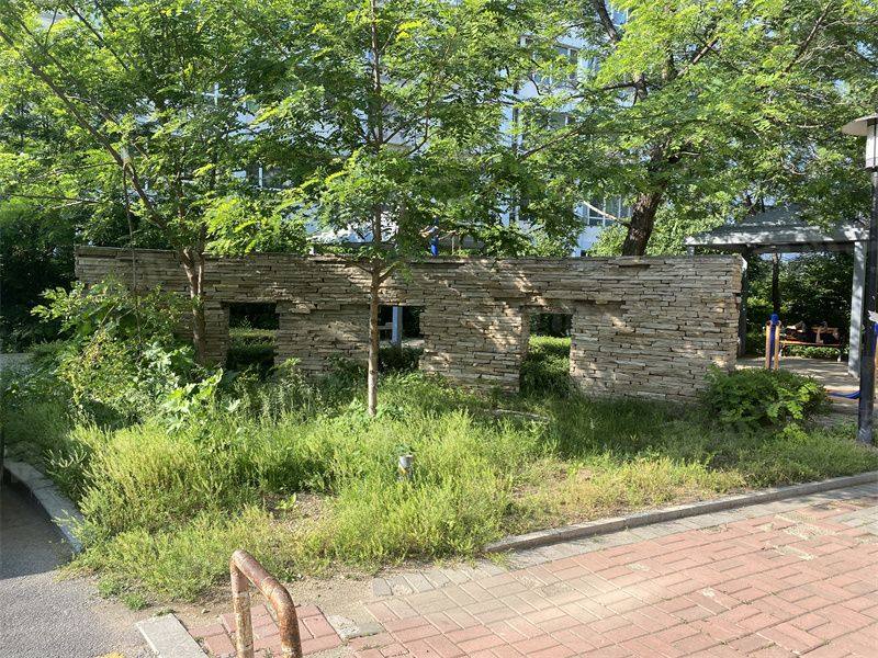 塞纳家园园区图片