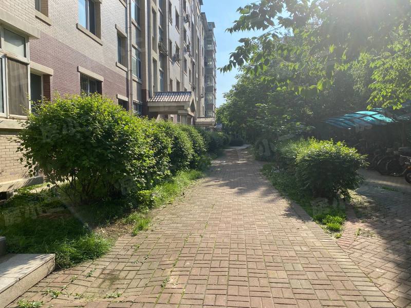 塞纳家园园区图片