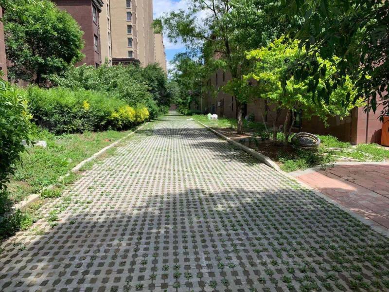 荣盛坤湖郦舍二期园区图片