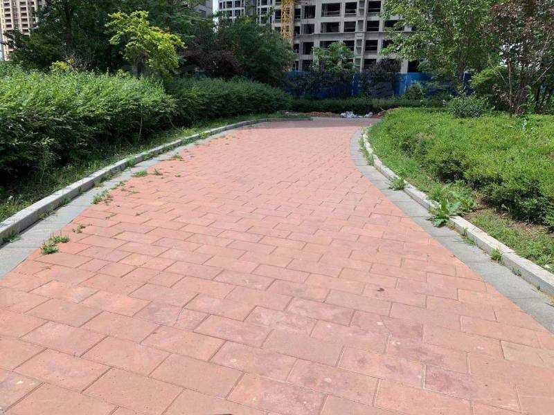 荣盛坤湖郦舍二期园区图片