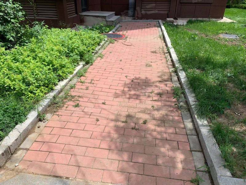 荣盛坤湖郦舍二期园区图片