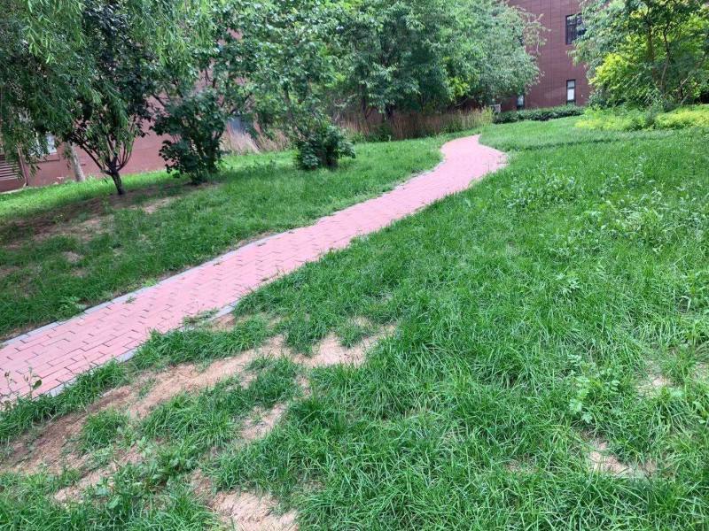 荣盛坤湖郦舍二期园区图片