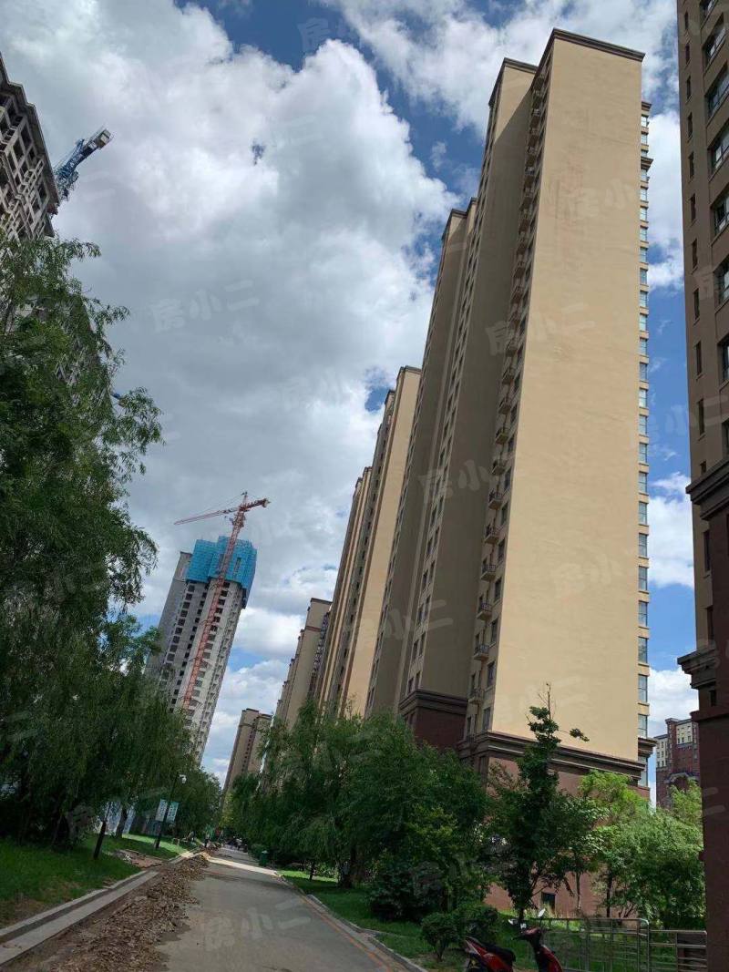 荣盛坤湖郦舍二期园区图片