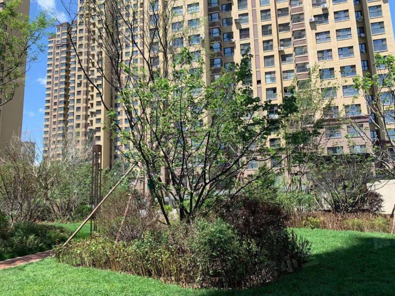 荣盛坤湖郦舍二期园区图片