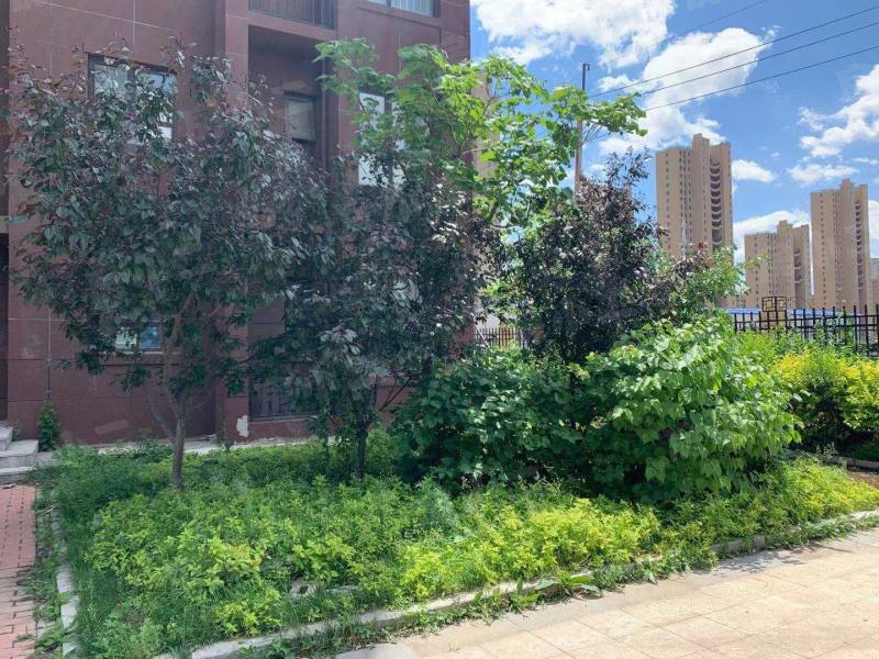 荣盛坤湖郦舍二期园区图片