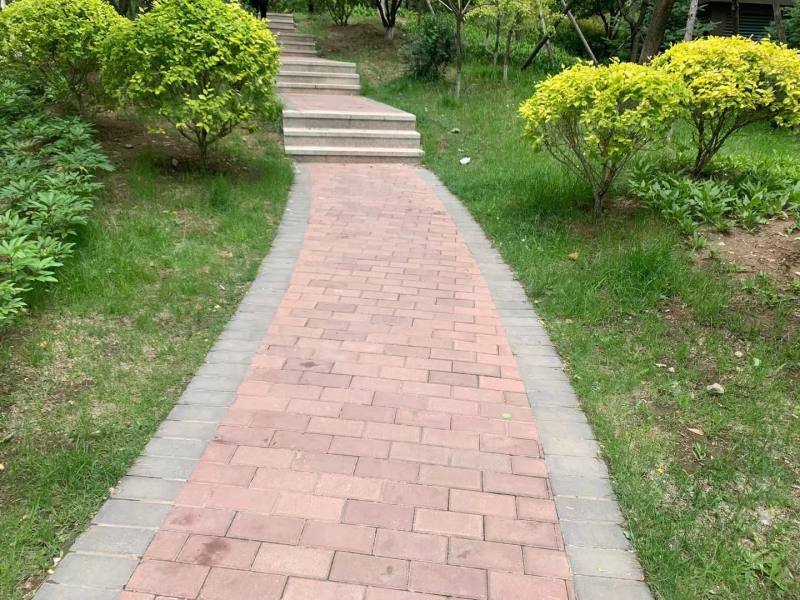 红豆杉温泉花园园区图片