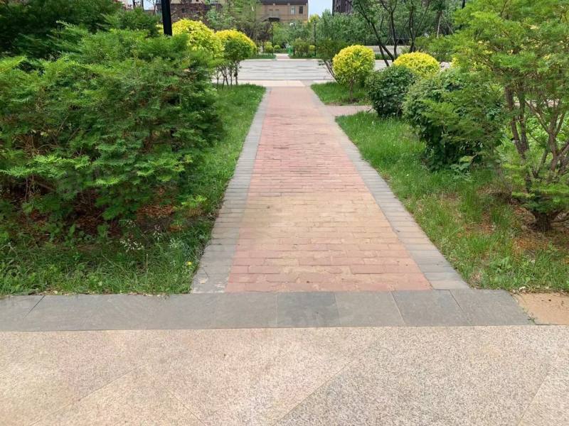 红豆杉温泉花园园区图片