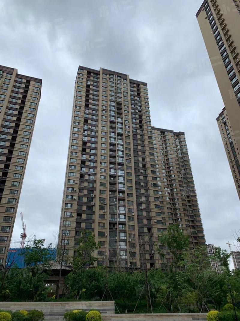 红豆杉温泉花园园区图片