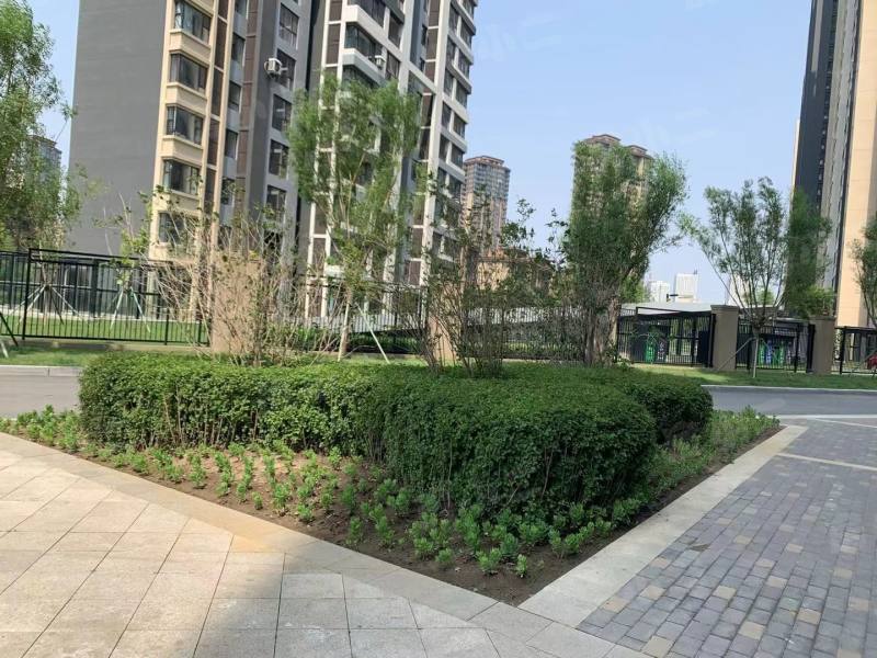 雅居乐花园D区园区图片