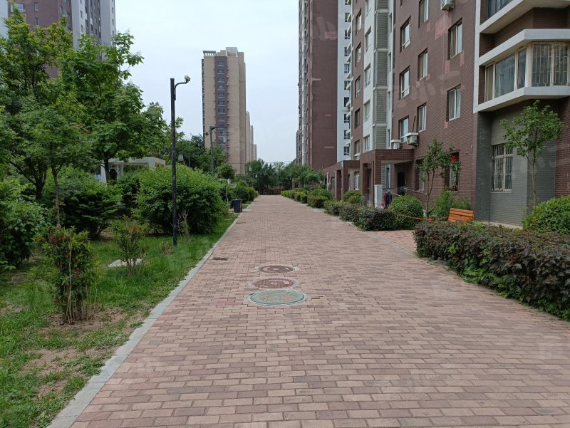 城建美庭园区图片