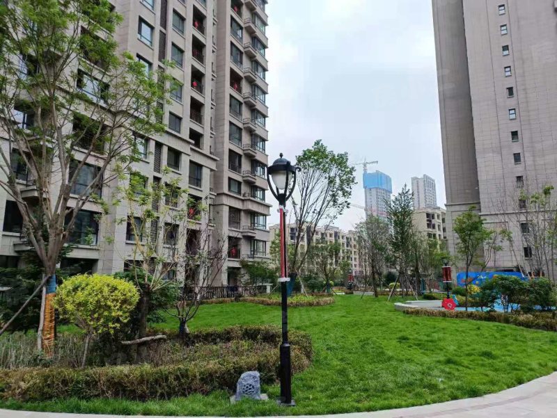 金沙巴黎花园园区图片