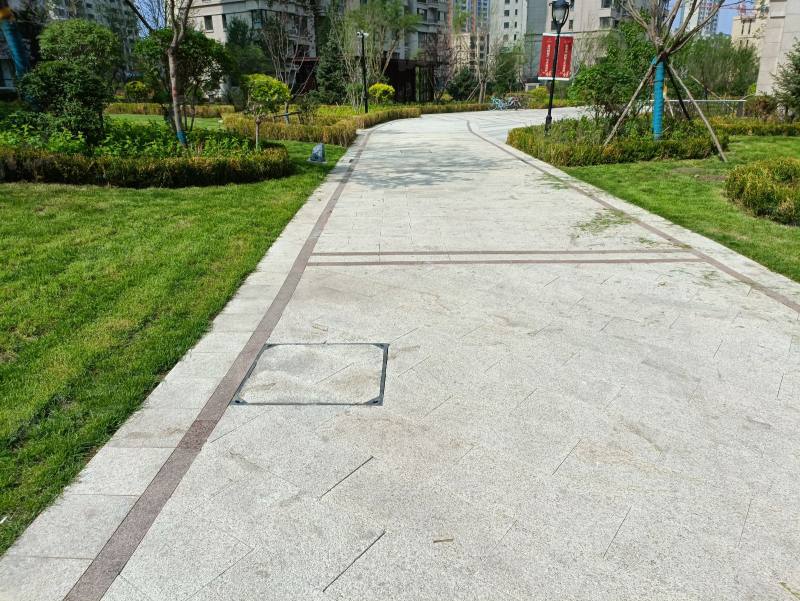 金沙巴黎花园园区图片