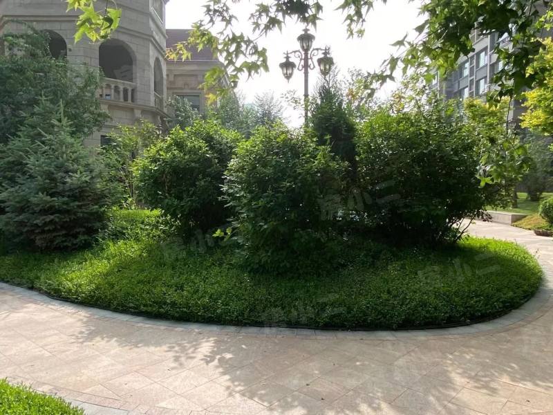 恒大御峰园区图片