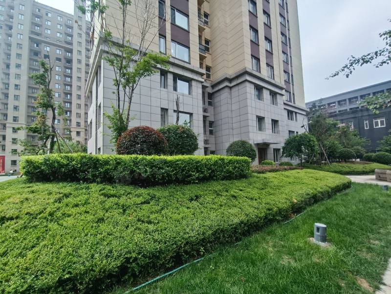 金沙巴黎花园园区图片