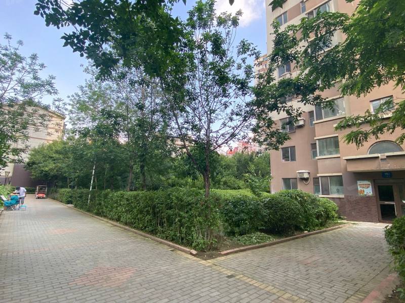 江南水乡园区图片