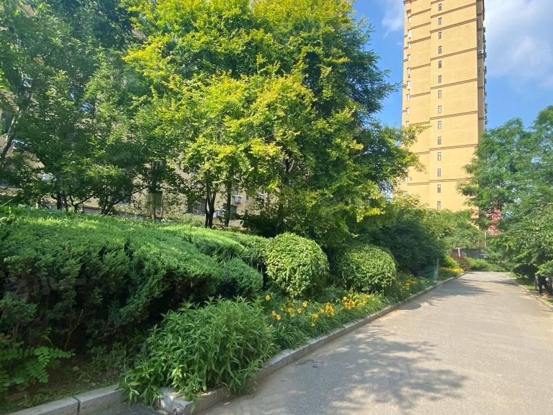 江南水乡园区图片
