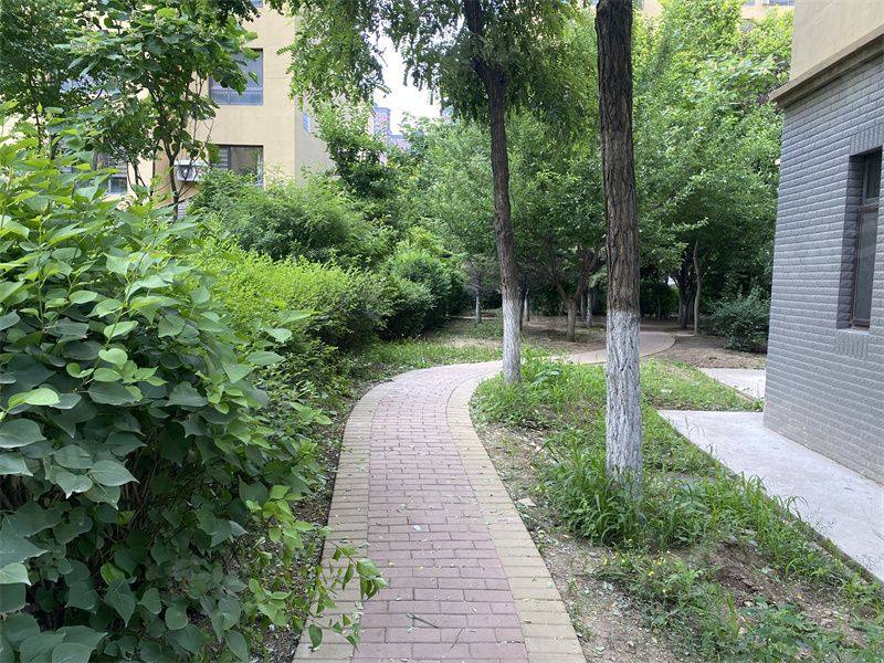 江南水乡园区图片