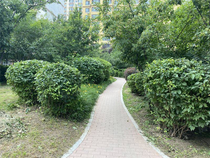 江南水乡园区图片
