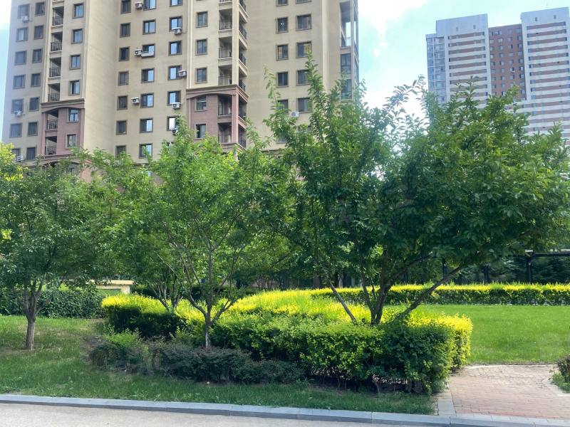 格林馨港湾园区图片