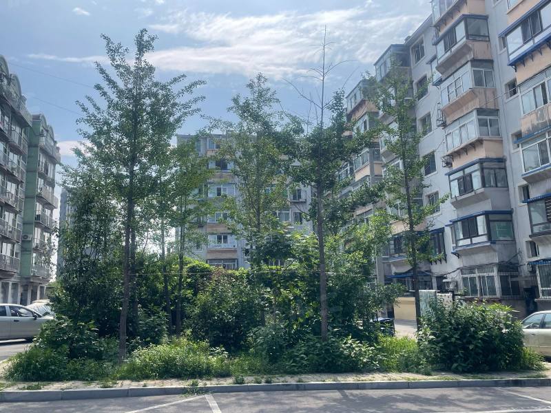 东塔安居小区园区图片