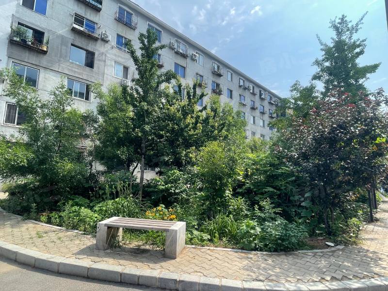 东塔安居小区园区图片