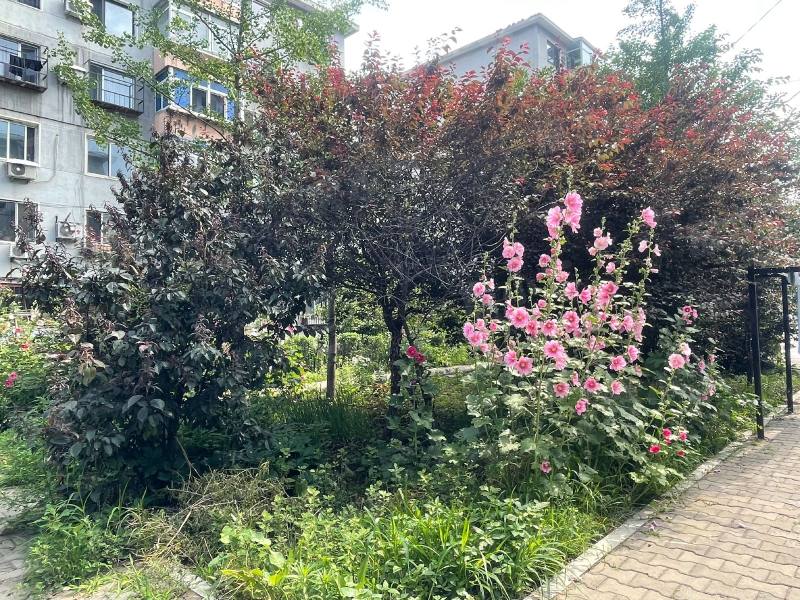 东塔安居小区园区图片